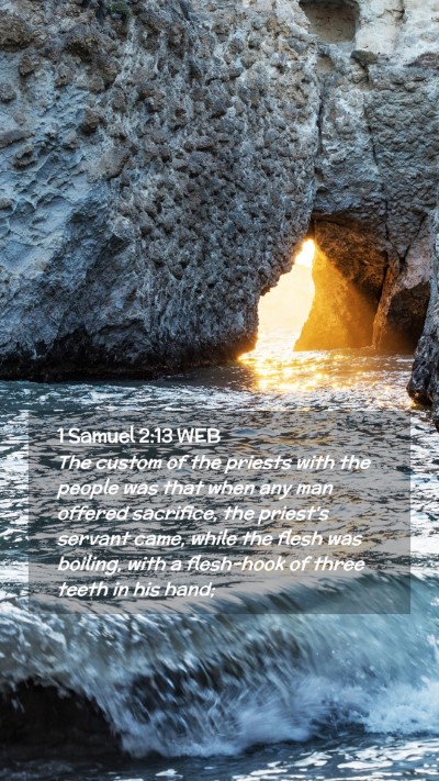 Picture 02 - 1 Samuel 2:13 WEB Mobile Phone Wallpaper - The custom of the priests with the people was - Mobile Bible Verse Wallpaper
