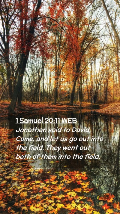 Picture 02 - 1 Samuel 20:11 WEB Mobile Phone Wallpaper - Jonathan said to David, Come, and let us go out - Mobile Bible Verse Wallpaper