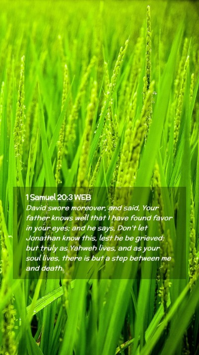 Picture 02 - 1 Samuel 20:3 WEB Mobile Phone Wallpaper - David swore moreover, and said, Your father knows - Mobile Bible Verse Wallpaper