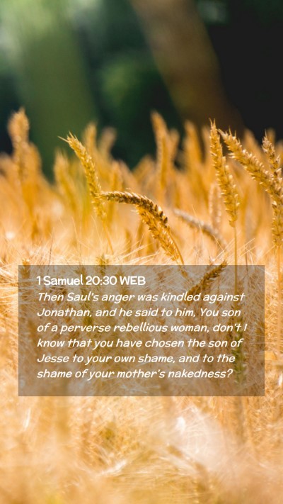 Picture 02 - 1 Samuel 20:30 WEB Mobile Phone Wallpaper - Then Saul's anger was kindled against Jonathan, - Mobile Bible Verse Wallpaper