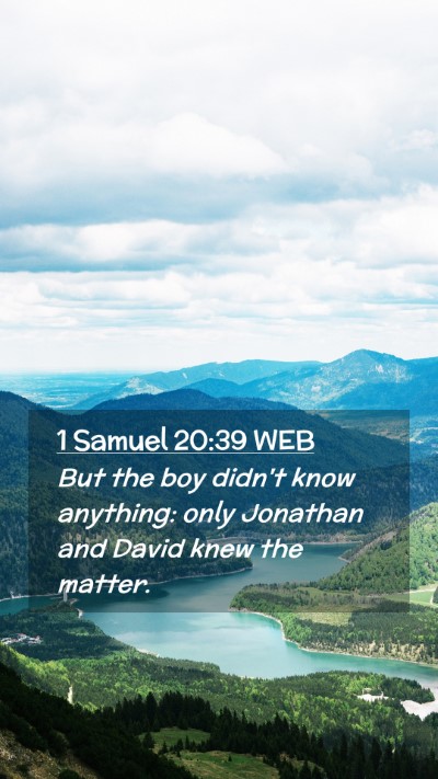 Picture 02 - 1 Samuel 20:39 WEB Mobile Phone Wallpaper - But the boy didn't know anything: only Jonathan - Mobile Bible Verse Wallpaper