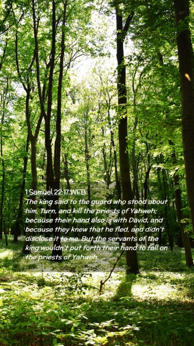 Picture 02 - 1 Samuel 22:17 WEB Mobile Phone Wallpaper - The king said to the guard who stood about him, - Mobile Bible Verse Wallpaper