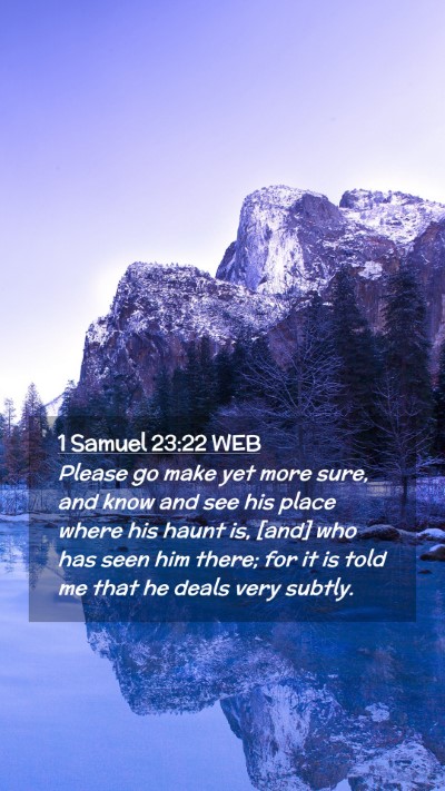 Picture 02 - 1 Samuel 23:22 WEB Mobile Phone Wallpaper - Please go make yet more sure, and know and see - Mobile Bible Verse Wallpaper