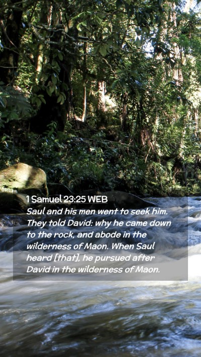 Picture 02 - 1 Samuel 23:25 WEB Mobile Phone Wallpaper - Saul and his men went to seek him. They told - Mobile Bible Verse Wallpaper