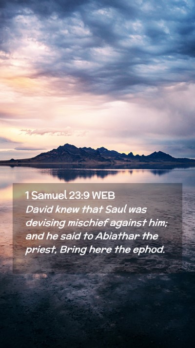 Picture 02 - 1 Samuel 23:9 WEB Mobile Phone Wallpaper - David knew that Saul was devising mischief - Mobile Bible Verse Wallpaper
