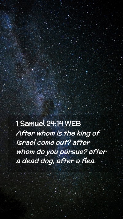 Picture 02 - 1 Samuel 24:14 WEB Mobile Phone Wallpaper - After whom is the king of Israel come out? after - Mobile Bible Verse Wallpaper