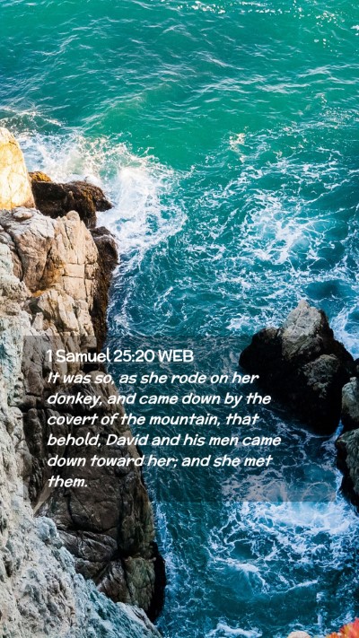 Picture 02 - 1 Samuel 25:20 WEB Mobile Phone Wallpaper - It was so, as she rode on her donkey, and came - Mobile Bible Verse Wallpaper