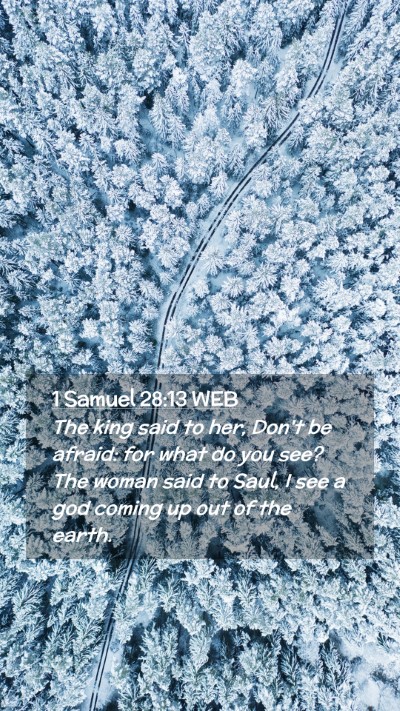Picture 02 - 1 Samuel 28:13 WEB Mobile Phone Wallpaper - The king said to her, Don't be afraid: for what - Mobile Bible Verse Wallpaper