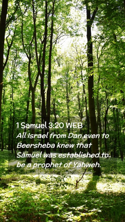 Picture 02 - 1 Samuel 3:20 WEB Mobile Phone Wallpaper - All Israel from Dan even to Beersheba knew that - Mobile Bible Verse Wallpaper