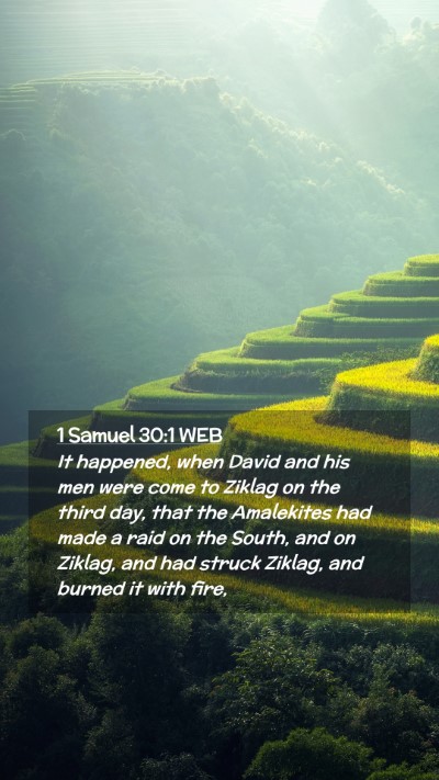 Picture 02 - 1 Samuel 30:1 WEB Mobile Phone Wallpaper - It happened, when David and his men were come to - Mobile Bible Verse Wallpaper