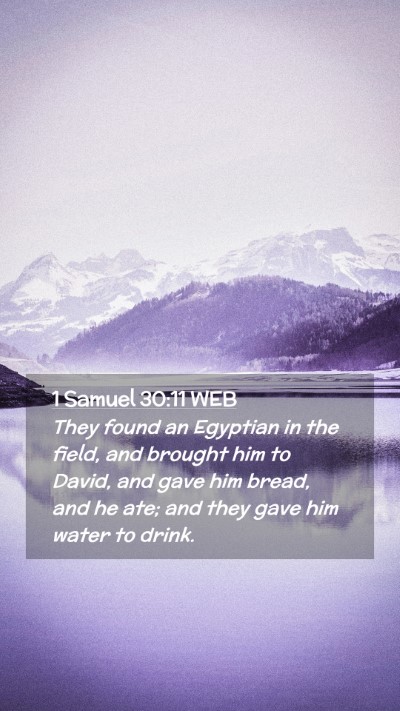 Picture 02 - 1 Samuel 30:11 WEB Mobile Phone Wallpaper - They found an Egyptian in the field, and brought - Mobile Bible Verse Wallpaper