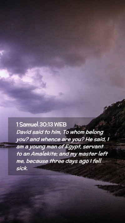 Picture 02 - 1 Samuel 30:13 WEB Mobile Phone Wallpaper - David said to him, To whom belong you? and whence - Mobile Bible Verse Wallpaper