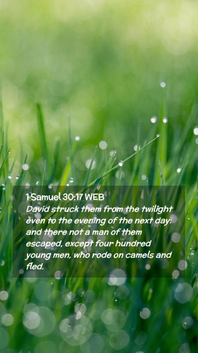 Picture 02 - 1 Samuel 30:17 WEB Mobile Phone Wallpaper - David struck them from the twilight even to the - Mobile Bible Verse Wallpaper