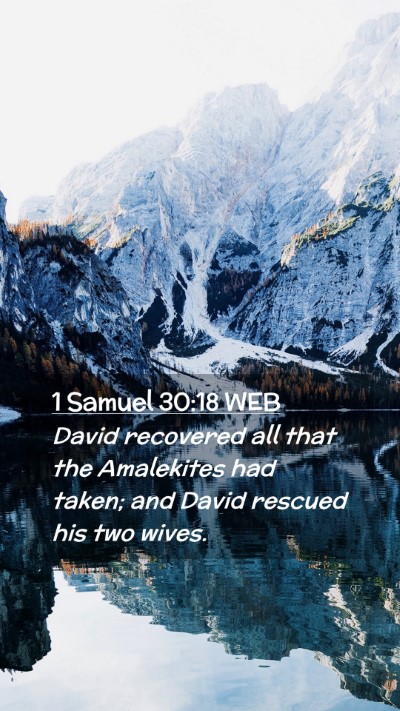Picture 02 - 1 Samuel 30:18 WEB Mobile Phone Wallpaper - David recovered all that the Amalekites had - Mobile Bible Verse Wallpaper