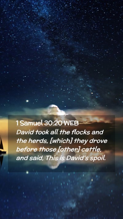 Picture 02 - 1 Samuel 30:20 WEB Mobile Phone Wallpaper - David took all the flocks and the herds, [which] - Mobile Bible Verse Wallpaper