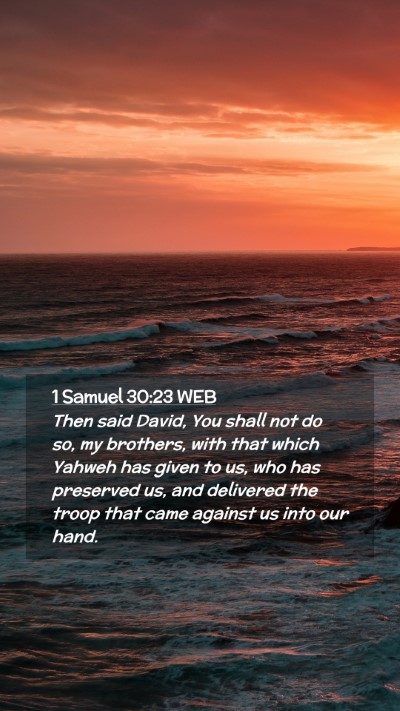 Picture 02 - 1 Samuel 30:23 WEB Mobile Phone Wallpaper - Then said David, You shall not do so, my - Mobile Bible Verse Wallpaper