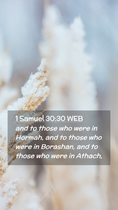 Picture 02 - 1 Samuel 30:30 WEB Mobile Phone Wallpaper - and to those who were in Hormah, and to those who - Mobile Bible Verse Wallpaper