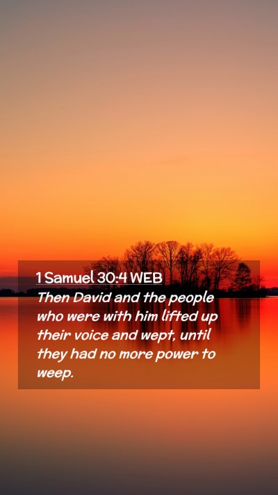 Picture 02 - 1 Samuel 30:4 WEB Mobile Phone Wallpaper - Then David and the people who were with him - Mobile Bible Verse Wallpaper