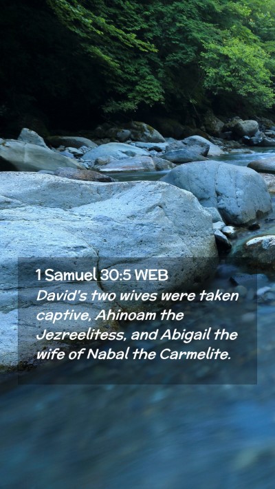 Picture 02 - 1 Samuel 30:5 WEB Mobile Phone Wallpaper - David's two wives were taken captive, Ahinoam the - Mobile Bible Verse Wallpaper