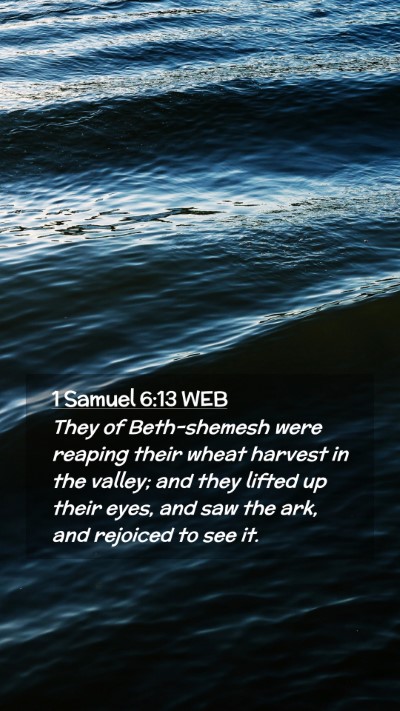 Picture 02 - 1 Samuel 6:13 WEB Mobile Phone Wallpaper - They of Beth-shemesh were reaping their wheat - Mobile Bible Verse Wallpaper