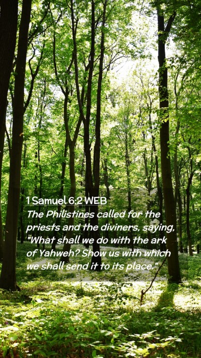 Picture 02 - 1 Samuel 6:2 WEB Mobile Phone Wallpaper - The Philistines called for the priests and the - Mobile Bible Verse Wallpaper