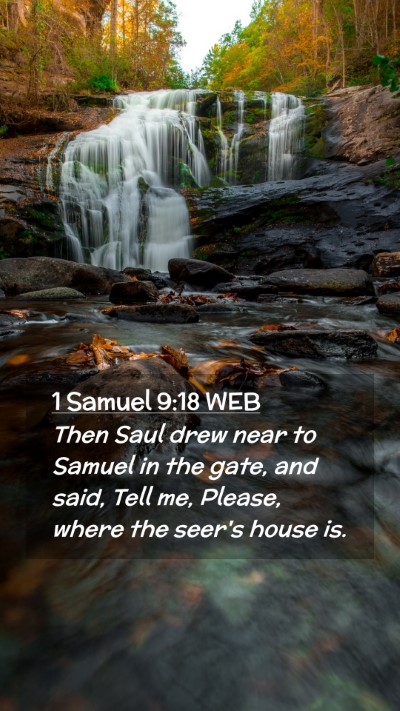 Picture 02 - 1 Samuel 9:18 WEB Mobile Phone Wallpaper - Then Saul drew near to Samuel in the gate, and - Mobile Bible Verse Wallpaper