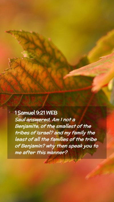 Picture 02 - 1 Samuel 9:21 WEB Mobile Phone Wallpaper - Saul answered, Am I not a Benjamite, of the - Mobile Bible Verse Wallpaper