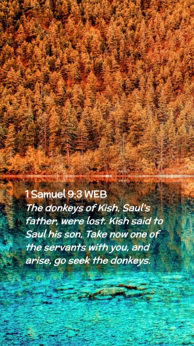 Picture 02 - 1 Samuel 9:3 WEB Mobile Phone Wallpaper - The donkeys of Kish, Saul's father, were lost. - Mobile Bible Verse Wallpaper