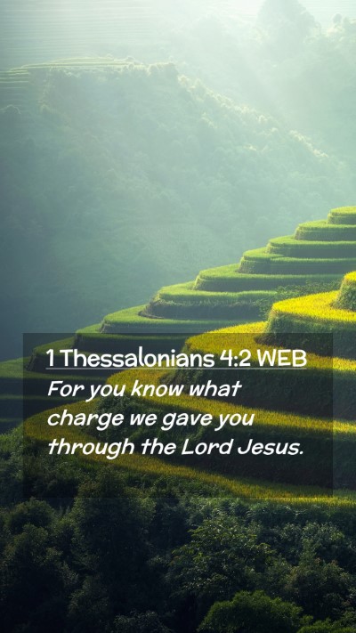 Picture 02 - 1 Thessalonians 4:2 WEB Mobile Phone Wallpaper - For you know what charge we gave you through the - Mobile Bible Verse Wallpaper