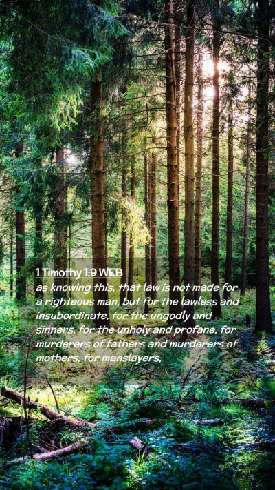 Picture 02 - 1 Timothy 1:9 WEB Mobile Phone Wallpaper - as knowing this, that law is not made for a - Mobile Bible Verse Wallpaper