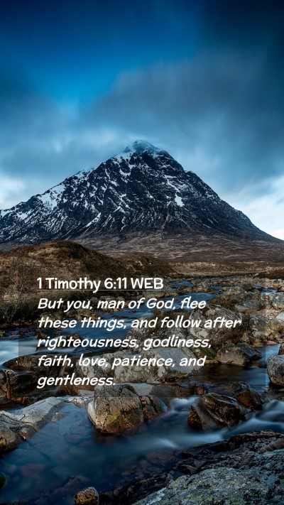 Picture 02 - 1 Timothy 6:11 WEB Mobile Phone Wallpaper - But you, man of God, flee these things, and - Mobile Bible Verse Wallpaper