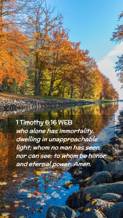 Picture 02 - 1 Timothy 6:16 WEB Mobile Phone Wallpaper - who alone has immortality, dwelling in - Mobile Bible Verse Wallpaper