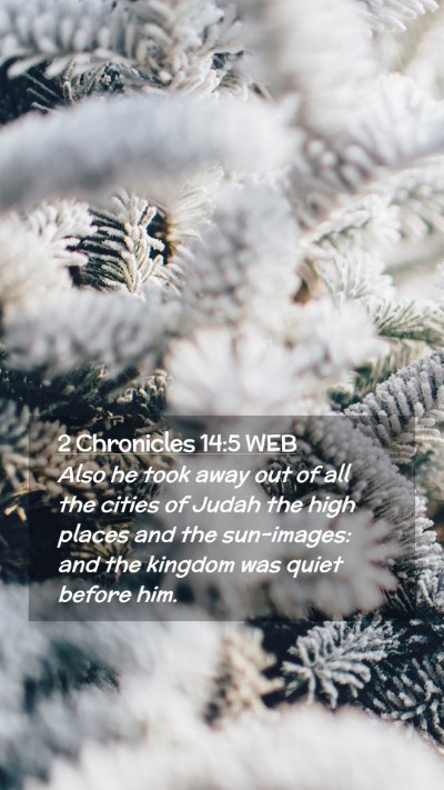Picture 02 - 2 Chronicles 14:5 WEB Mobile Phone Wallpaper - Also he took away out of all the cities of Judah - Mobile Bible Verse Wallpaper