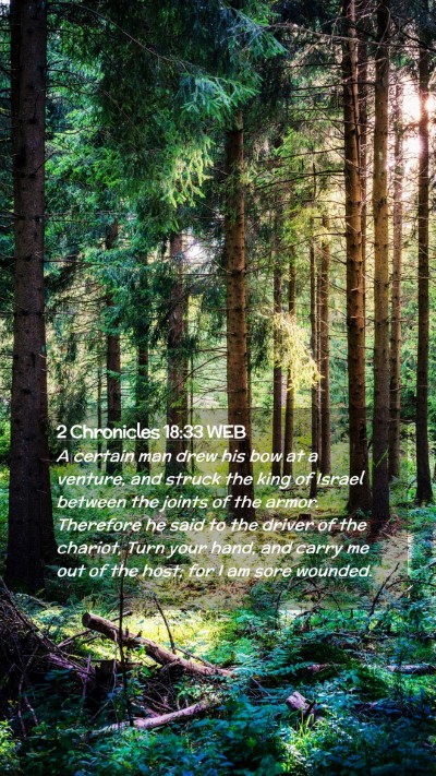 Picture 02 - 2 Chronicles 18:33 WEB Mobile Phone Wallpaper - A certain man drew his bow at a venture, and - Mobile Bible Verse Wallpaper