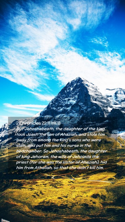 Picture 02 - 2 Chronicles 22:11 WEB Mobile Phone Wallpaper - But Jehoshabeath, the daughter of the king, took - Mobile Bible Verse Wallpaper