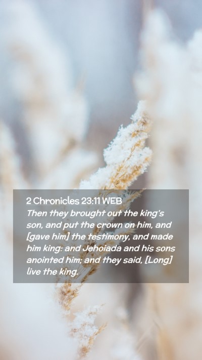 Picture 02 - 2 Chronicles 23:11 WEB Mobile Phone Wallpaper - Then they brought out the king's son, and put the - Mobile Bible Verse Wallpaper