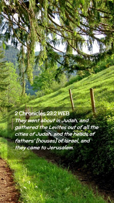 Picture 02 - 2 Chronicles 23:2 WEB Mobile Phone Wallpaper - They went about in Judah, and gathered the - Mobile Bible Verse Wallpaper
