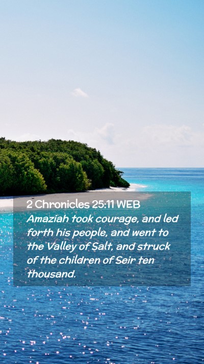 Picture 02 - 2 Chronicles 25:11 WEB Mobile Phone Wallpaper - Amaziah took courage, and led forth his people, - Mobile Bible Verse Wallpaper