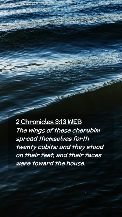 Picture 02 - 2 Chronicles 3:13 WEB Mobile Phone Wallpaper - The wings of these cherubim spread themselves - Mobile Bible Verse Wallpaper