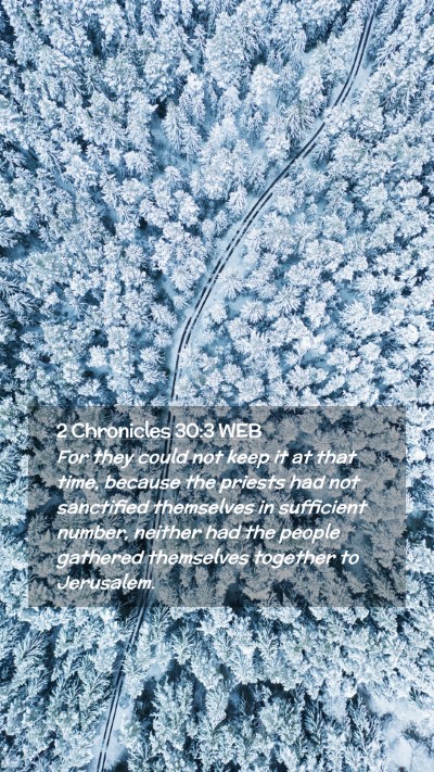 Picture 02 - 2 Chronicles 30:3 WEB Mobile Phone Wallpaper - For they could not keep it at that time, because - Mobile Bible Verse Wallpaper