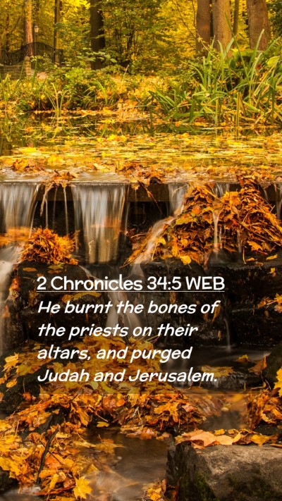 Picture 02 - 2 Chronicles 34:5 WEB Mobile Phone Wallpaper - He burnt the bones of the priests on their - Mobile Bible Verse Wallpaper