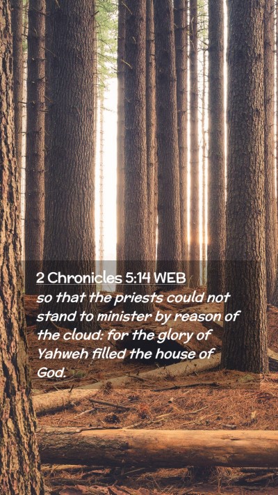 Picture 02 - 2 Chronicles 5:14 WEB Mobile Phone Wallpaper - so that the priests could not stand to minister - Mobile Bible Verse Wallpaper