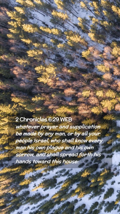 Picture 02 - 2 Chronicles 6:29 WEB Mobile Phone Wallpaper - whatever prayer and supplication be made by any - Mobile Bible Verse Wallpaper