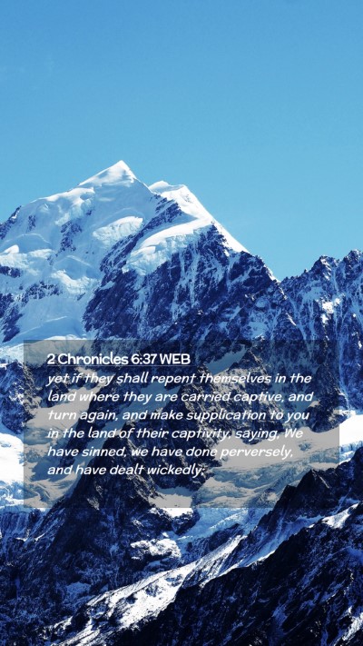 Picture 02 - 2 Chronicles 6:37 WEB Mobile Phone Wallpaper - yet if they shall repent themselves in the land - Mobile Bible Verse Wallpaper