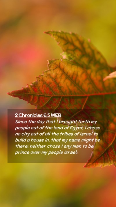 Picture 02 - 2 Chronicles 6:5 WEB Mobile Phone Wallpaper - Since the day that I brought forth my people out - Mobile Bible Verse Wallpaper