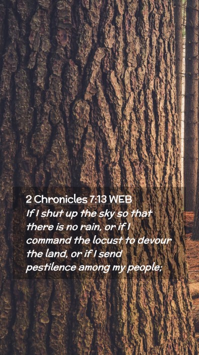 Picture 02 - 2 Chronicles 7:13 WEB Mobile Phone Wallpaper - If I shut up the sky so that there is no rain, or - Mobile Bible Verse Wallpaper