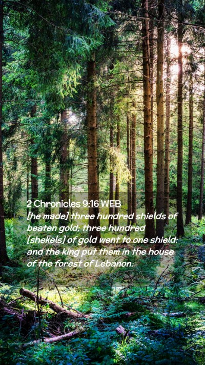 Picture 02 - 2 Chronicles 9:16 WEB Mobile Phone Wallpaper - [he made] three hundred shields of beaten gold; - Mobile Bible Verse Wallpaper