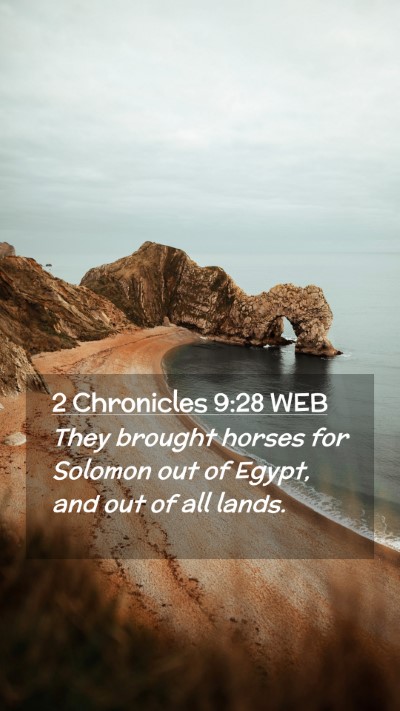 Picture 02 - 2 Chronicles 9:28 WEB Mobile Phone Wallpaper - They brought horses for Solomon out of Egypt, and - Mobile Bible Verse Wallpaper