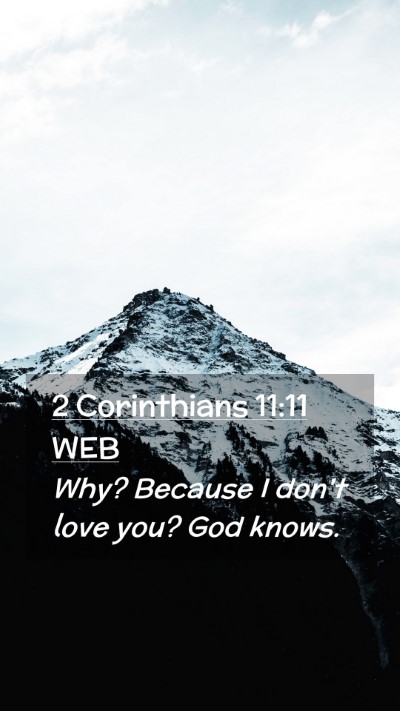 Picture 02 - 2 Corinthians 11:11 WEB Mobile Phone Wallpaper - Why? Because I don't love you? God - Mobile Bible Verse Wallpaper