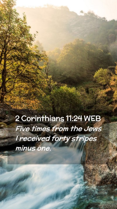 Picture 02 - 2 Corinthians 11:24 WEB Mobile Phone Wallpaper - Five times from the Jews I received forty stripes - Mobile Bible Verse Wallpaper